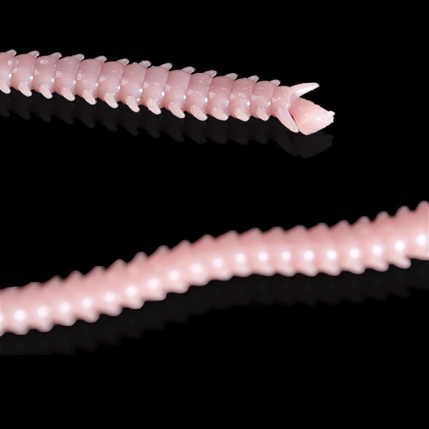 Japanese Ryoshi Pink Glow LRF Silikonu